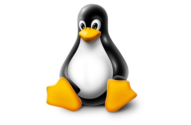 Как установить Linux: пошаговая инструкция для начинающих